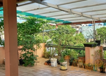 Studio Apartment | For Rent | Mount Lavinia | Property ID - R9999