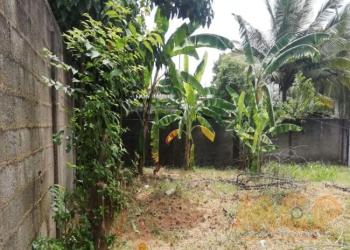 Land for rent Homagama Reference R5076