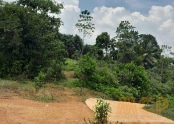 Land  | For Sale | Kaluthara - Reference - L3377