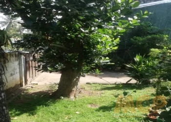 Land | For Sale | Pelawatta - Property ID - L3126