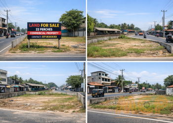 Commercial Land for Sale Angulana