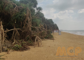 Beach Front Land for Sale