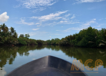Polwatta River facing Land for Sale Weligama 