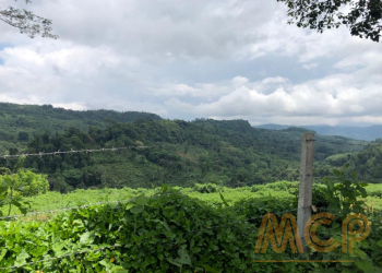 Estate for sale in Galle district Ref# C3047