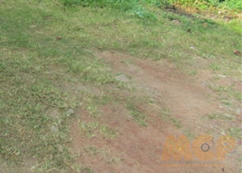 Land | for | Sale | Colombo 4 - Property ID - L0567A