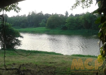 Land | For Sale | Bomiriya - Reference L3202