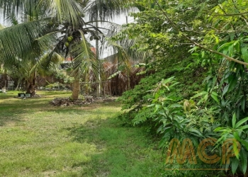 Land | For Sale | Kotikawaththa - Reference L3239