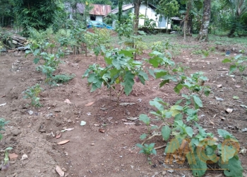 Land | For Sale | Meegoda - Reference L3249