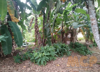 Land | For Sale | Meegoda - Reference  - L3256