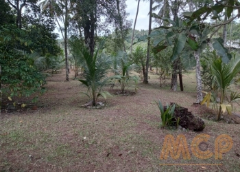 Land | For Sale | Kaduwela - Reference L3257