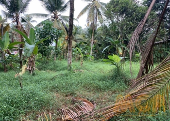 Land | For Sale | Delgoda - Reference L3260