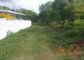 Land | For Sale | Talawathugoda - Reference L3264
