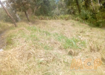 Land |For Sale | Kandy -Reference L3265