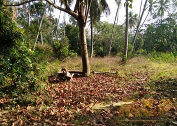 Land | For Sale | Meerigama- Reference L3268