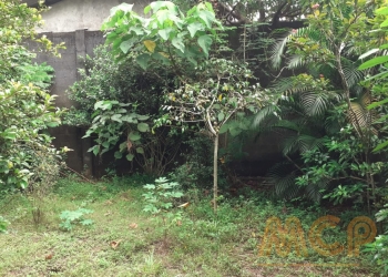 Land | For Sale | Delgoda- Reference L3368