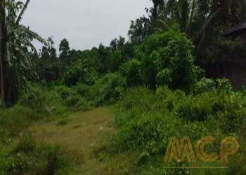 Land | For Sale | Kaluthara - Property ID - L3186A